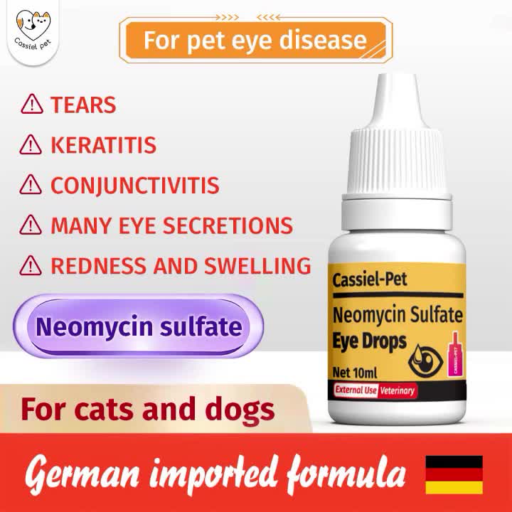 CASSIEL PET Gentamicin Sulfate Eye Drops For Infection For Dogs & Cats ...