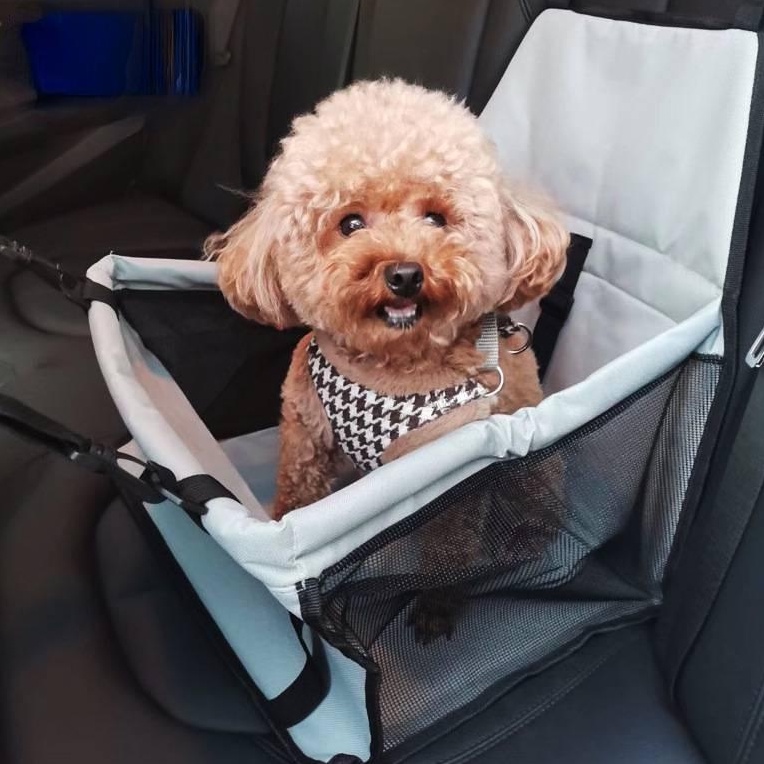 Car seat clearance dog cradle