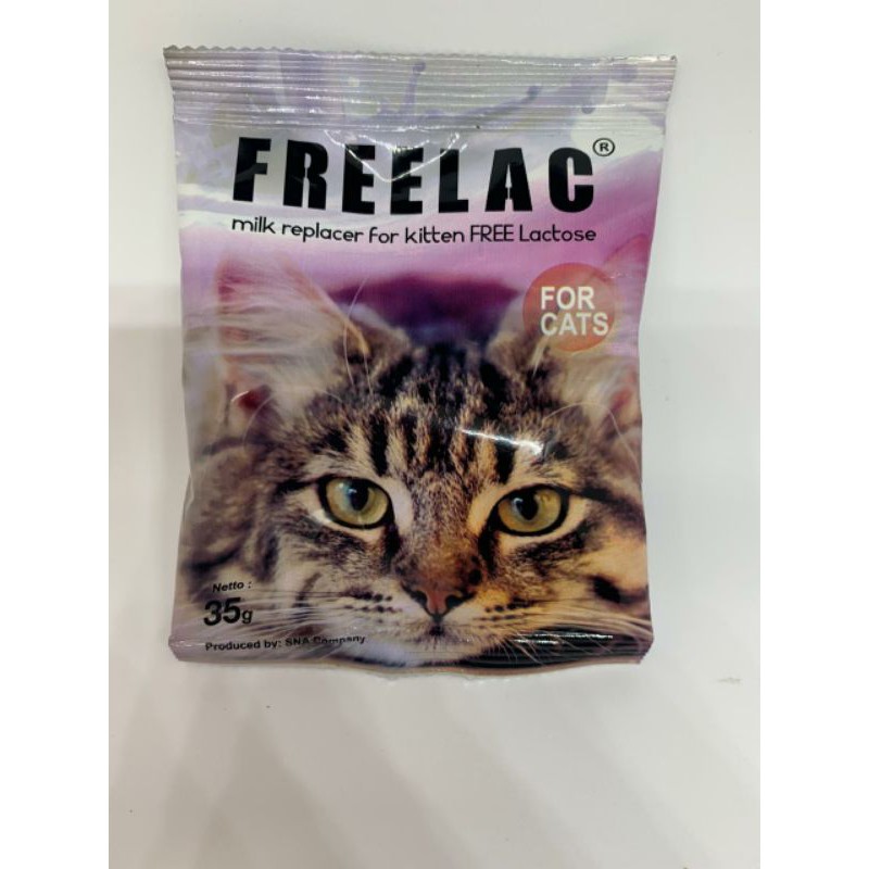 Lactose free hotsell milk for cats