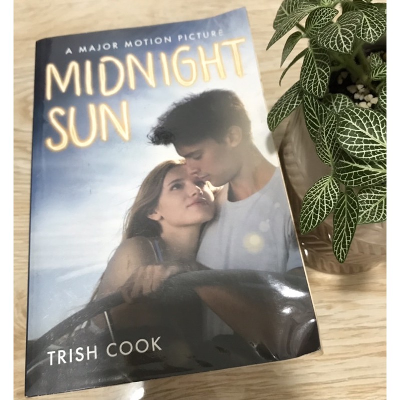 Midnight Sun by Trish Cook