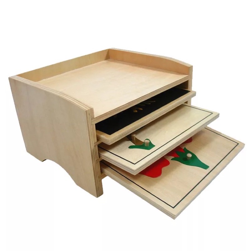 Montessori Botany Puzzle set with Cabinet | Shopee Philippines