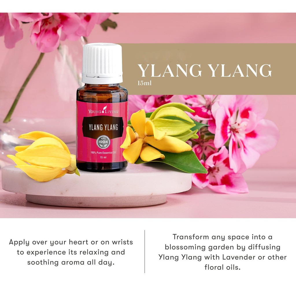 Young Living Ylang Ylang Essential Oil 100 Pure and Authentic in 15ml