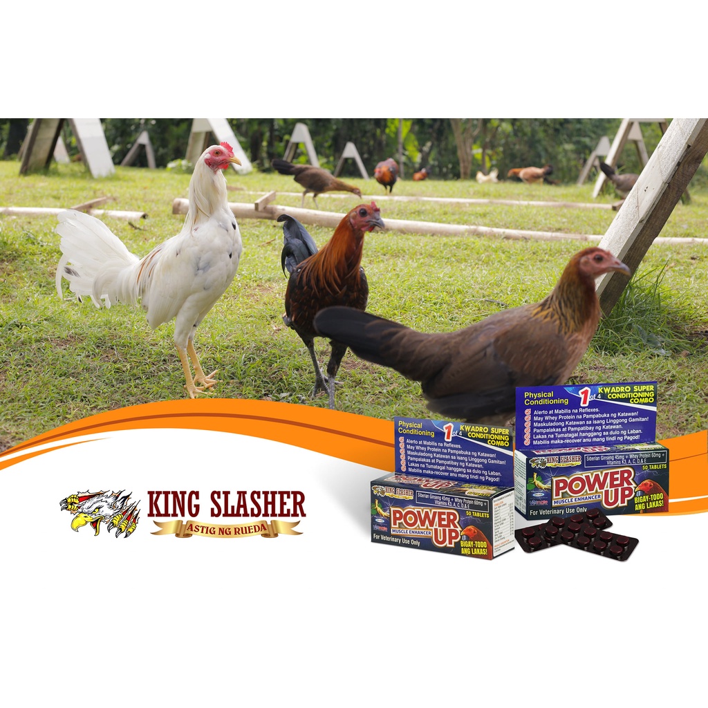 [FCR AGRIVET] Power Up Muscle Enhancer by King Slasher for Gamefowl