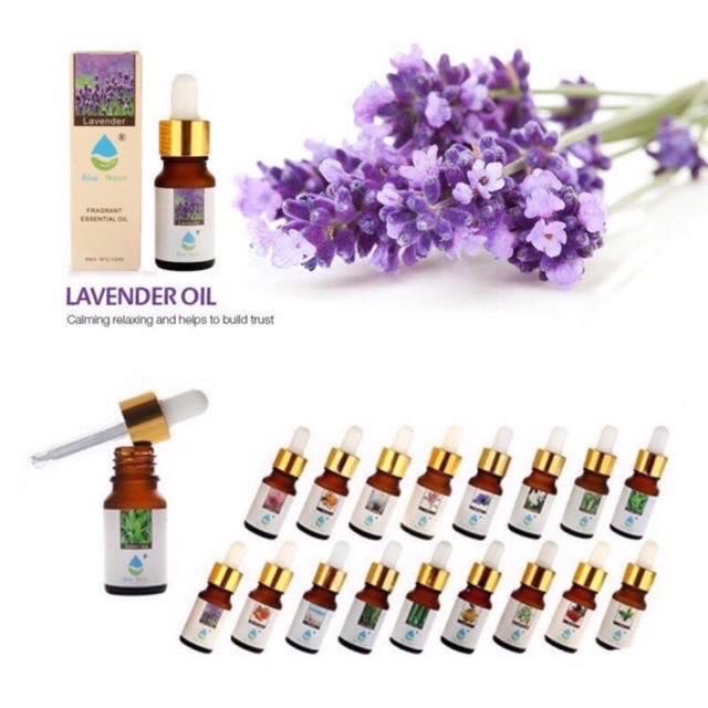 hush.ph Blue 10ml Water Aromatherapy Humidifier essential oil for ...