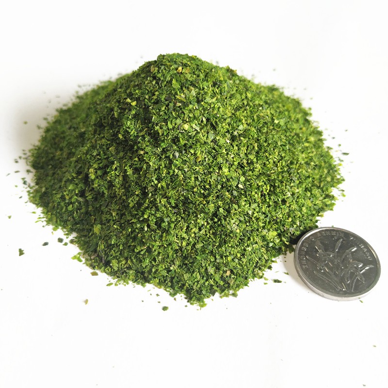 Laver Powder / Seaweed For Takoyaki 100g / Serbuk Rumpai Laut Untuk ...