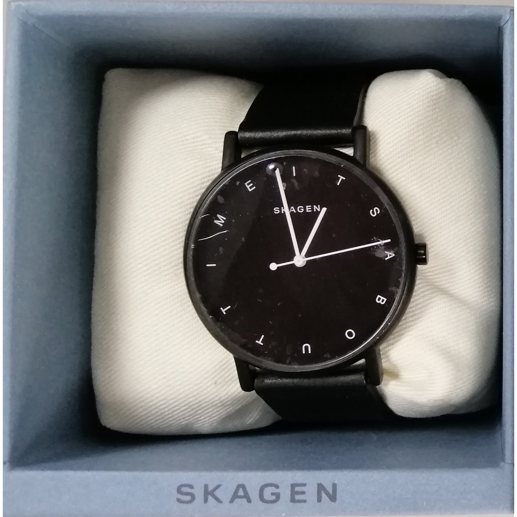 Mens skagen hot sale watch sale