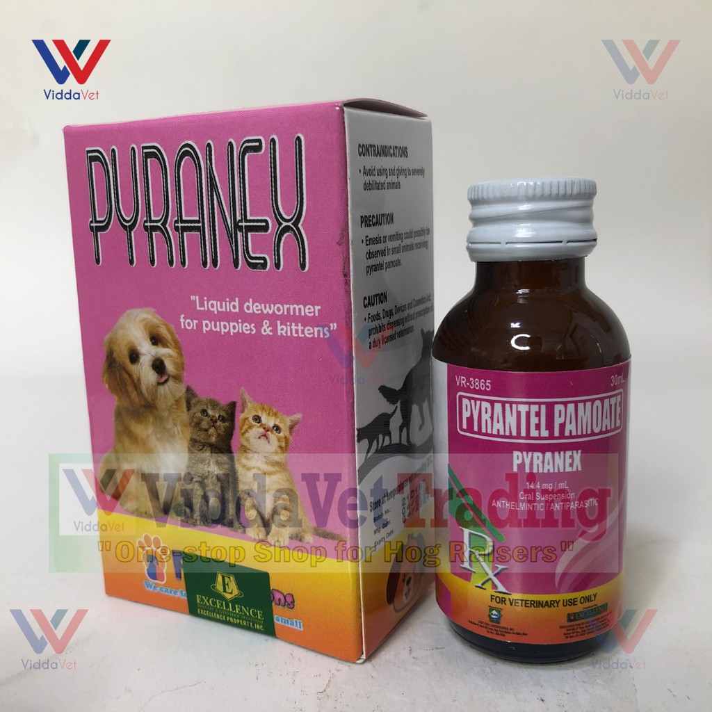 Oral dewormer hotsell for kittens