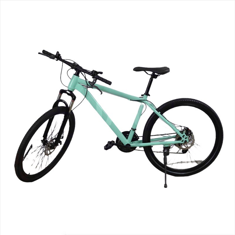 Roadmaster 26 men's mountain bike sale