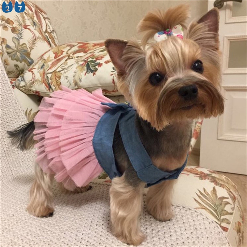 Summer Dress for Dog Pets Chihuahua Wedding Dress Skirt Puppy Clothing  Spring Dresses for Dogs Jean Pet Clothes XS-L | Shopee Philippines