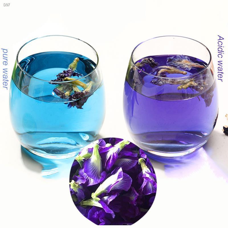 artificial flower vine Natural Blue Butterfly Pea Flower Dried