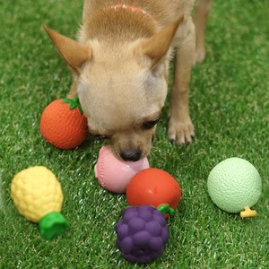 Bubble ball hot sale for dogs