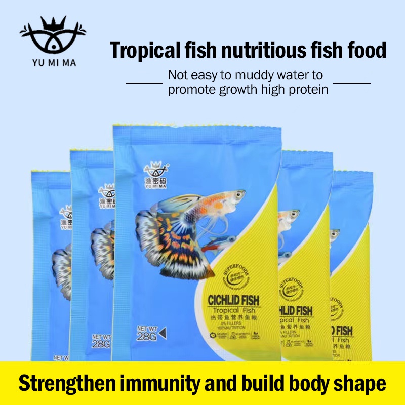 beta fish - Best Prices and Online Promos - Aug 2026 | Shopee Philippines
