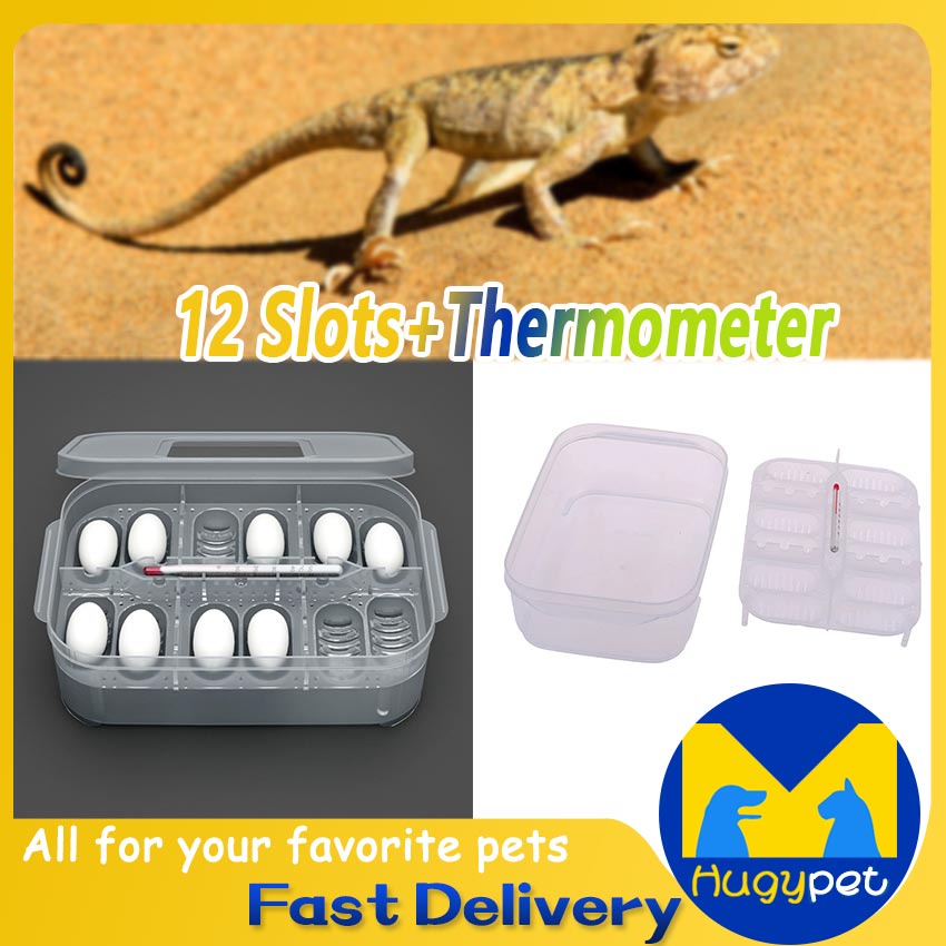 Professional Reptile Egg Incubation Tray Lizard Snake Chicken Eggs