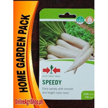 SPEEDY LABANOS OR RADISH SEEDS (1500 SEEDS) EAST WEST SEEDS