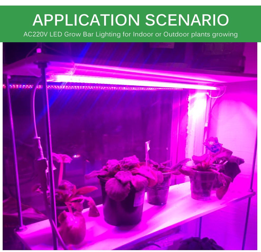 LED Grow Lights Hard Light Strips AC220V Phytolamp with Power Supply ...