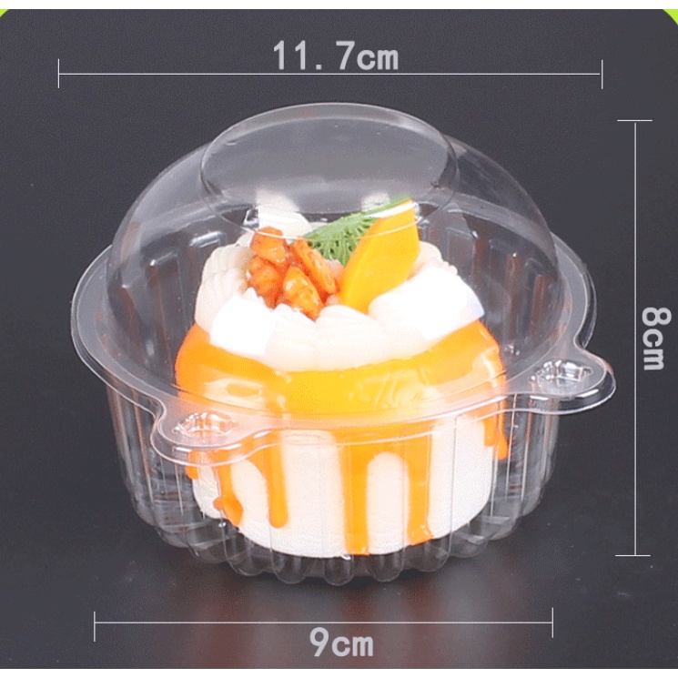 [COD] Cupcake clamshell dome mini circle clamshell | Shopee Philippines