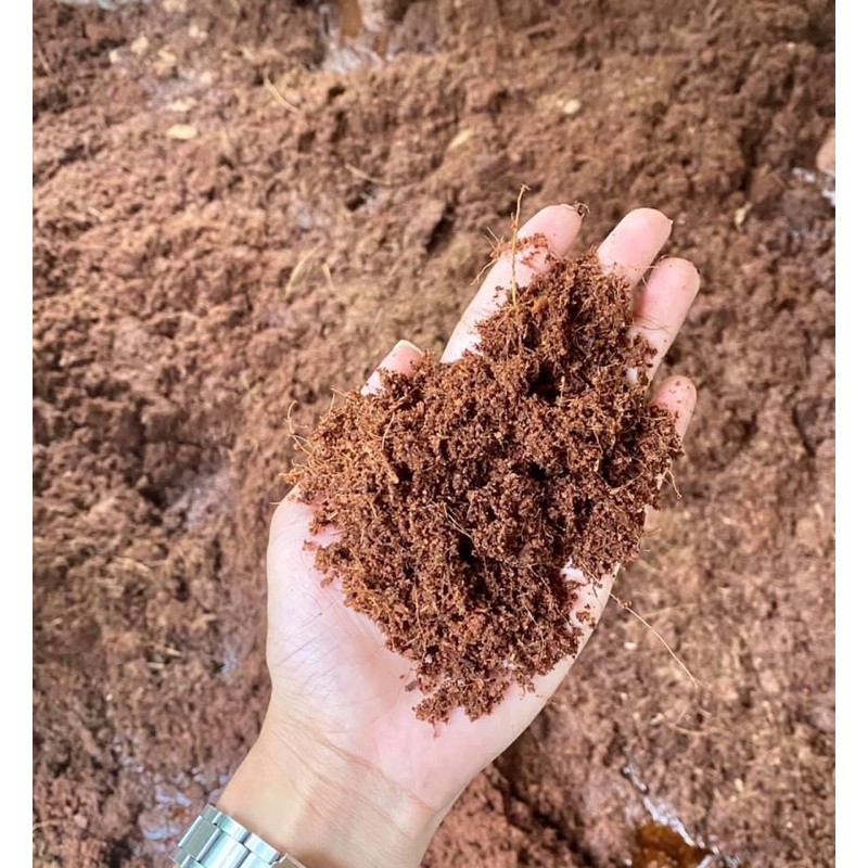 Comparison Between Peat Moss and Coco Coir