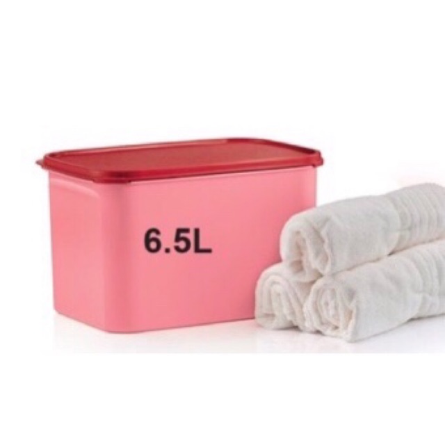 Tupperware Rosa Rectangular III 6.5L (1pc) | Shopee Philippines