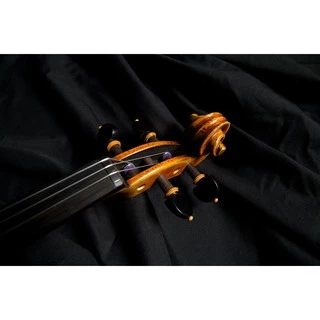 Violin Strings 4/4 Full Set With 2 Sets Of Violin Bow Hair Nickel