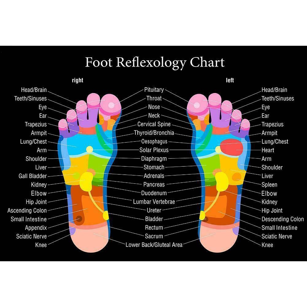 Lot style Choose Reflexology Foot Chart Art print Silk poster Home Wall
