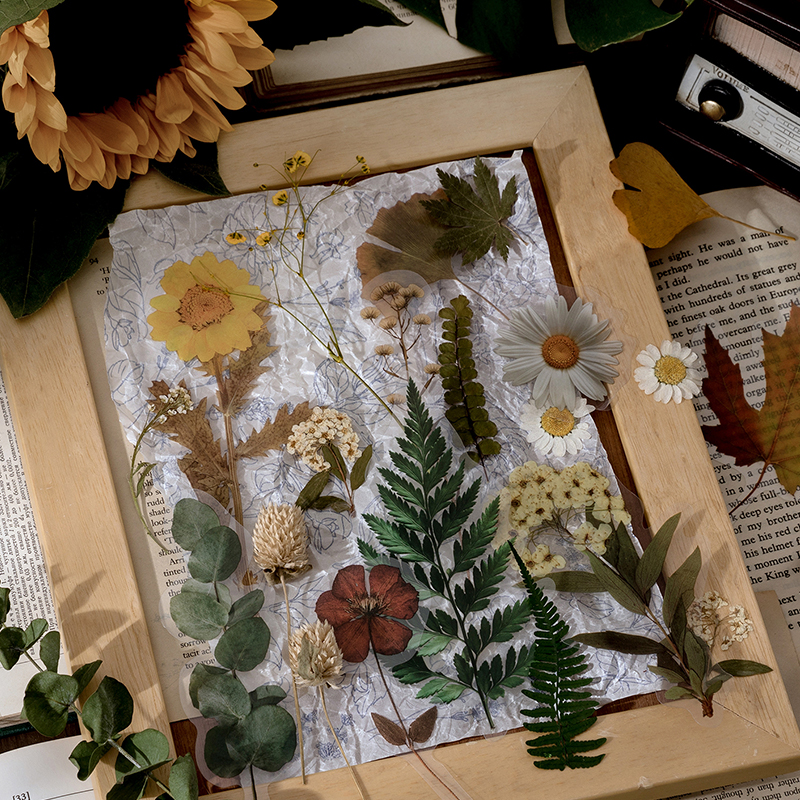 Herbarium sticker   – PLANTS HAPPY