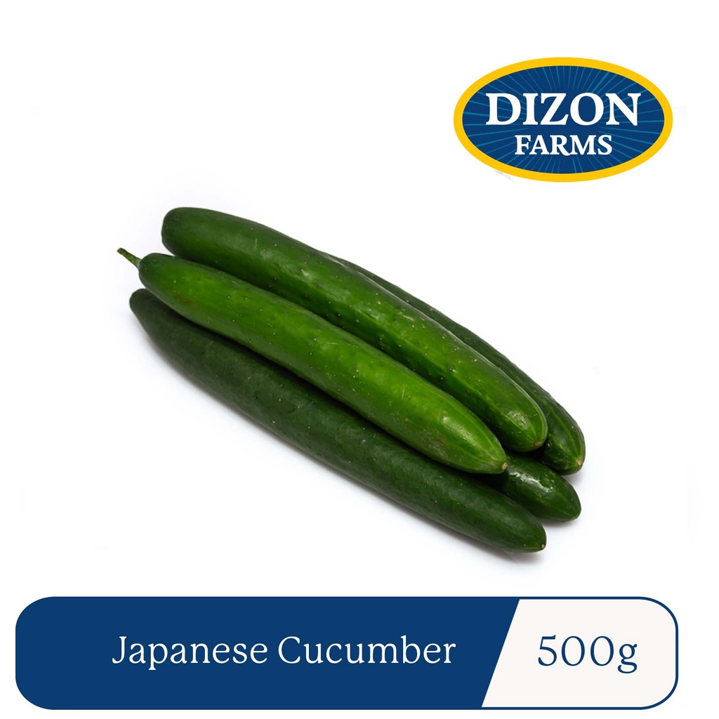 Dizon Farms Japanese Cucumber / 500g Shopee Philippines