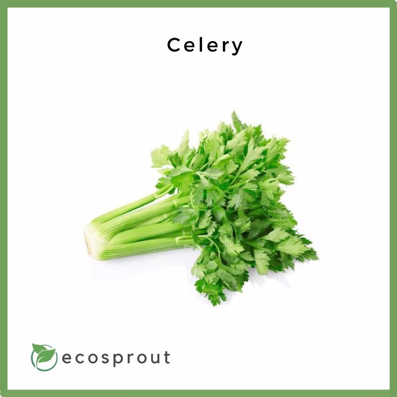 Fresh Celery | From 150g | Fresh Vegetables | Fresh Fruits | Groceries ...