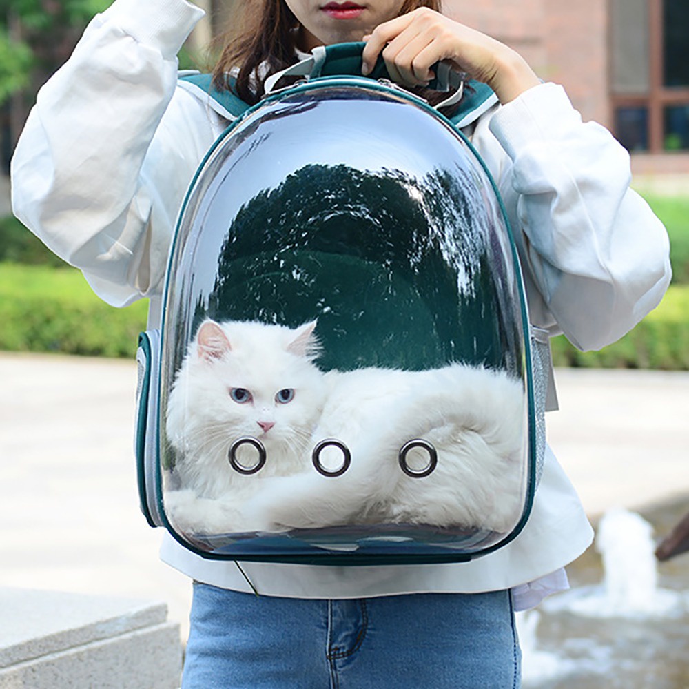 Backpack Carrier For Cat Chats Portable Pet Carrier Bag For Cat Small Dog Cat Carrier Backpacks Trav