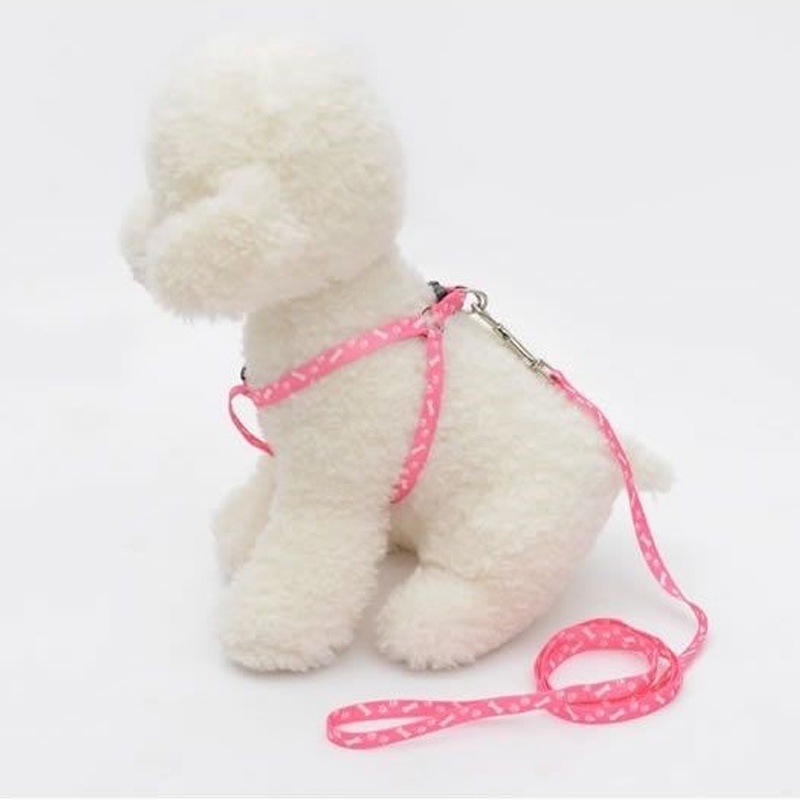 Adjustable Nylon Pet Leash Dog Leash Cat Puppy Leash Kitty Leash For ...