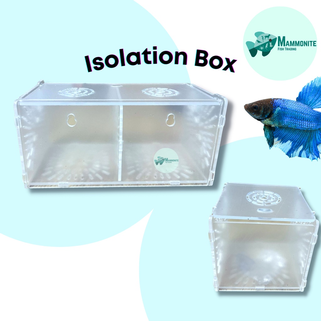 Aquarium Tank Isolation Box Breeder Hatchery Acrylic Division GL1010 ...