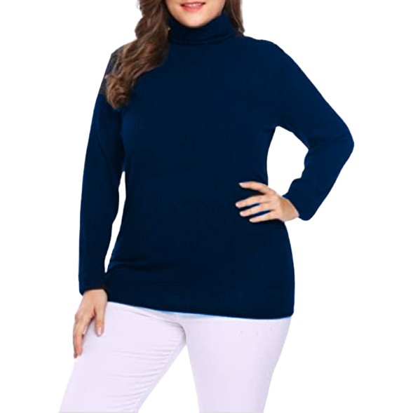 DS Ancona Dark Navy Long Sleeve Turtle Neck Top F25