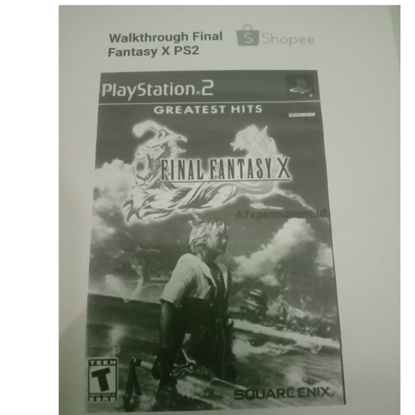 Walkthrough Final Fantasy X PS2 Shopee Philippines