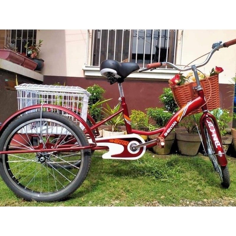 Lazada 3 wheel online bike