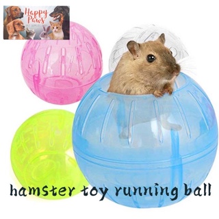 Hamster best sale ball shopee