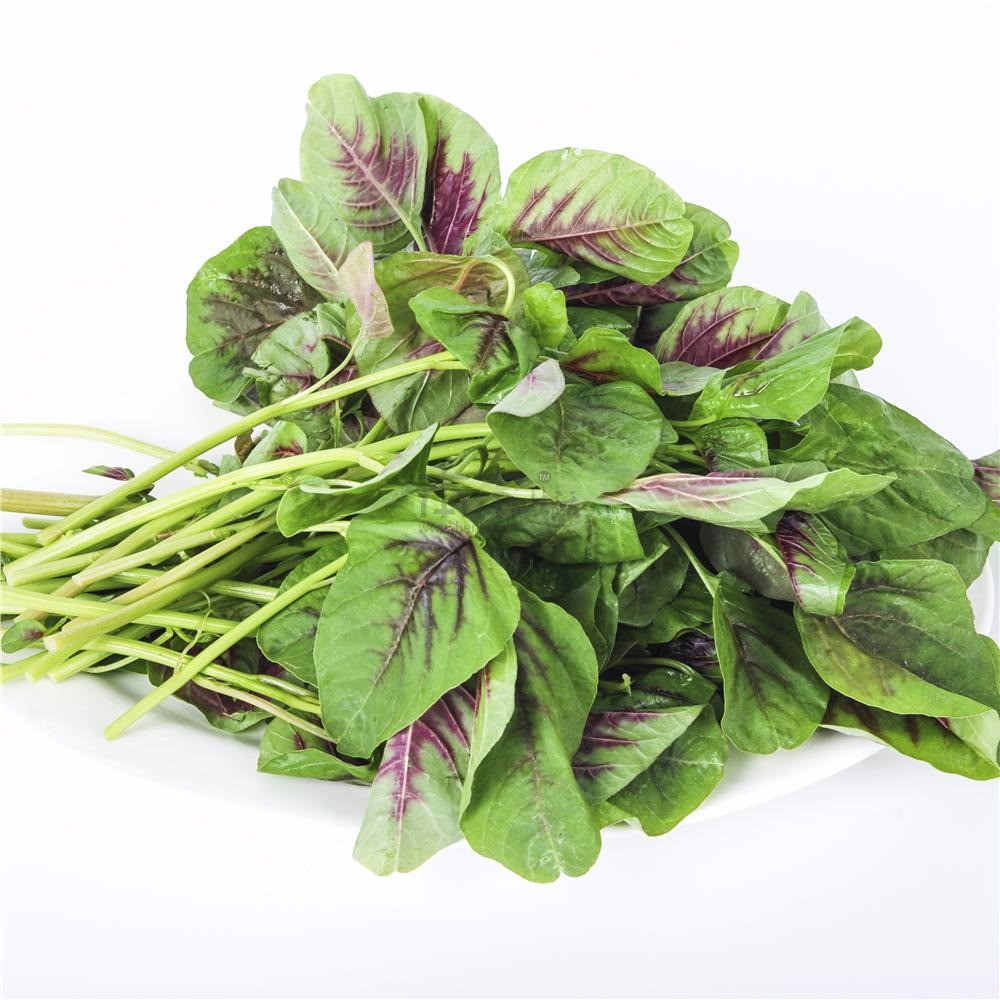 034 FV Spinach Seeds Amaranth Seeds 2g | Amaranth Mangostanus flower ...