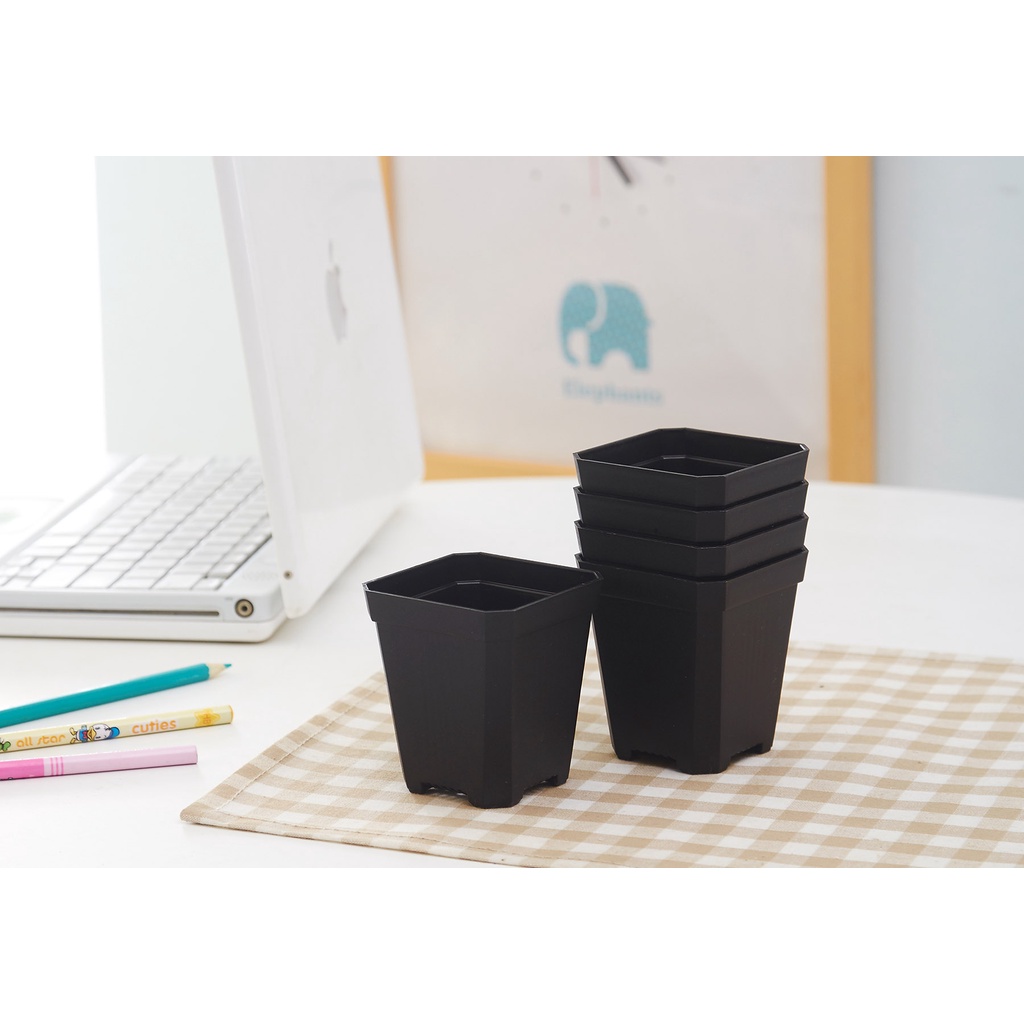 Mini Plastic Square pots for Carnivorous plants, Cactus and Succulents