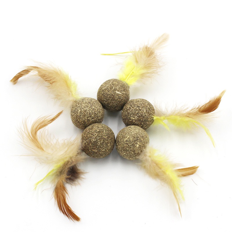 Pet Cat Toy Catnip Treats Toy Catnip Ball Toys Kitten Teaser With