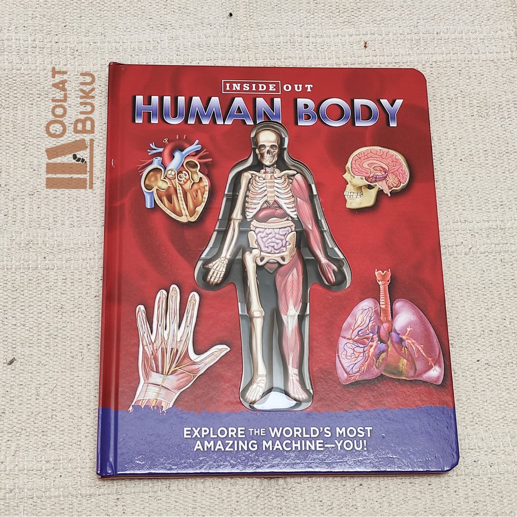 Inside Out - HUMAN BODY | Shopee Philippines