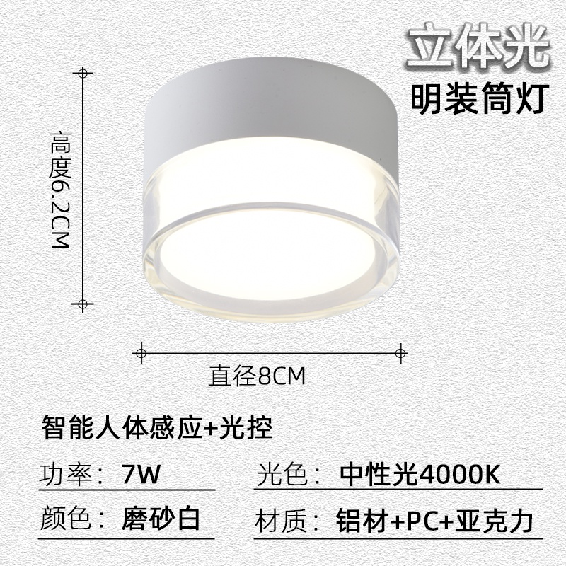 LED Smart Radar Body Sensor Surface Mounted Tube Light Modern Simple ...