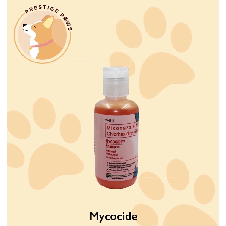 Mycocide shampoo hotsell for dogs