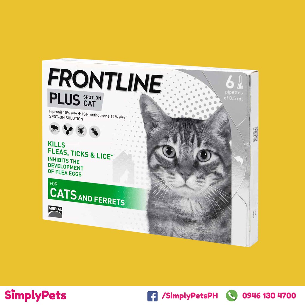 Anti flea 2024 medication for cats