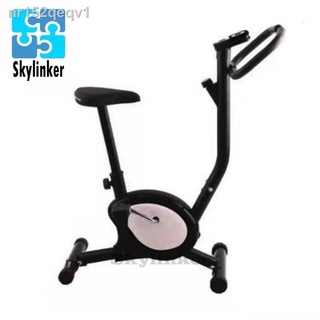 skylinker Indoor Upright Stationary Bike Exercise Bike