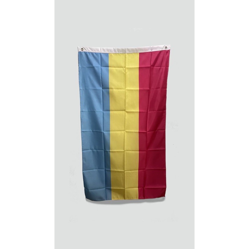 Pansexual Flag | Pan Pride Flag LGBT | LOCAL | Shopee Philippines