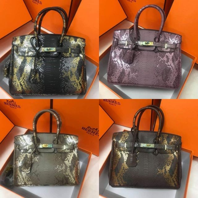 Hermes on sale birkin snake