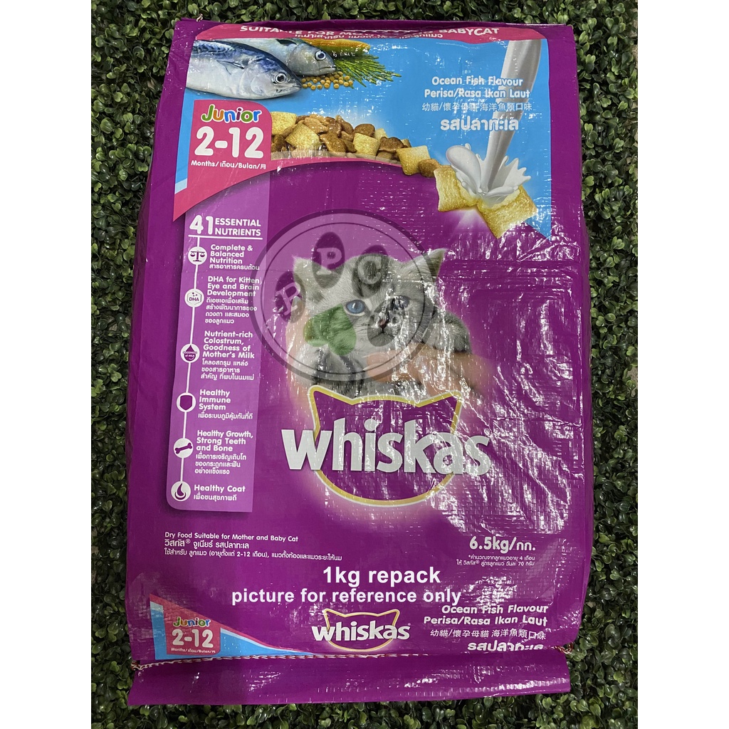 Whiskas Junior Ocean Fish with Milk 1kg Rpck Shopee Philippines