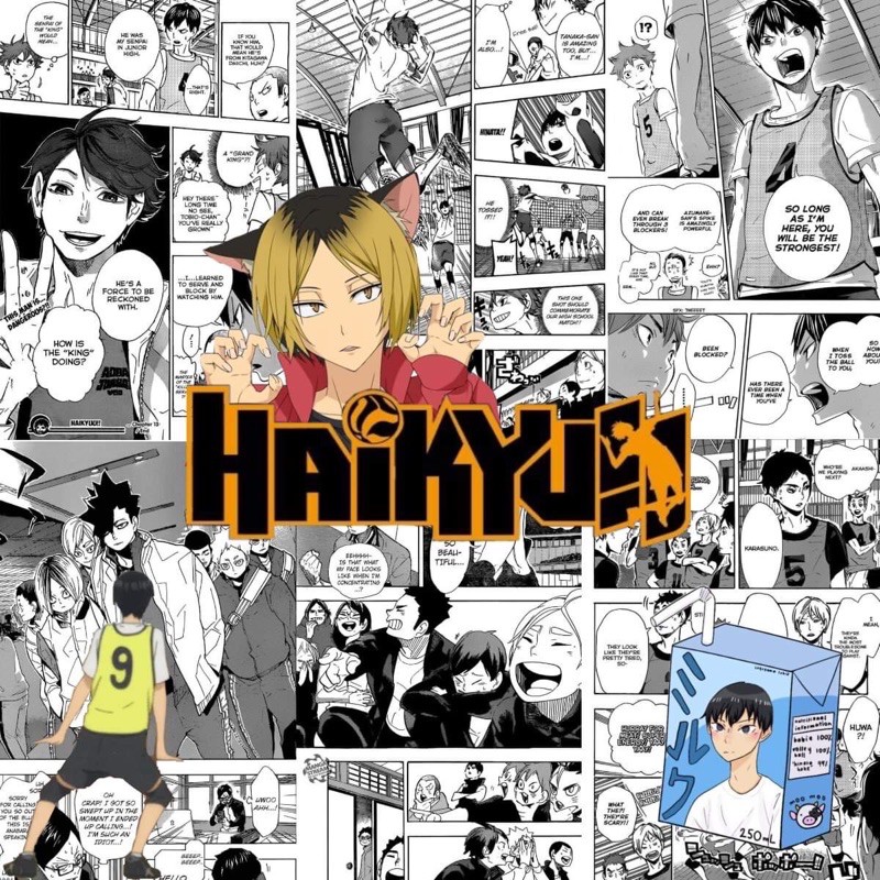 Pin by Thaina on for my manga wall  Haikyuu manga, Haikyuu anime, Haikyuu