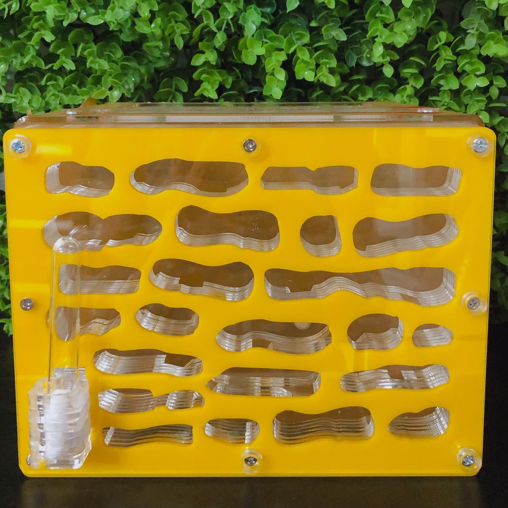 Ant Breeding Box 20-15-15cm / Formicarium | Shopee Philippines
