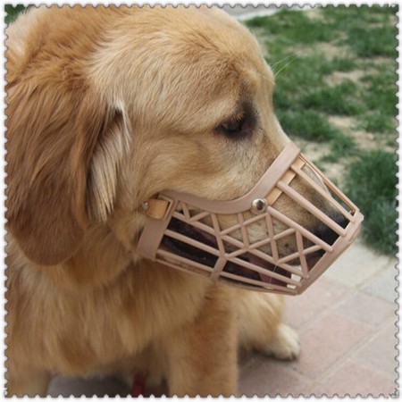 Mouthguard sale for dogs