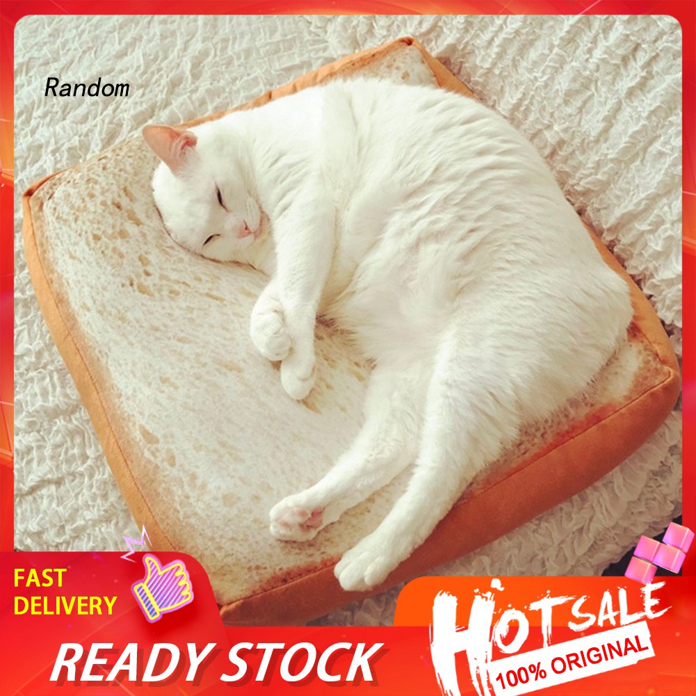 Slice of deals bread cat bed