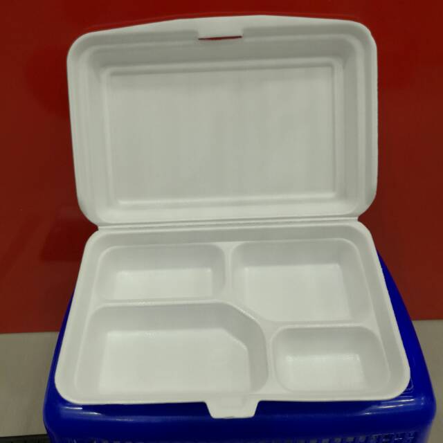 Styrofoam BENTO 4MM SECTION 4 KCS CONTAINS 10 SEEDS | Shopee Philippines